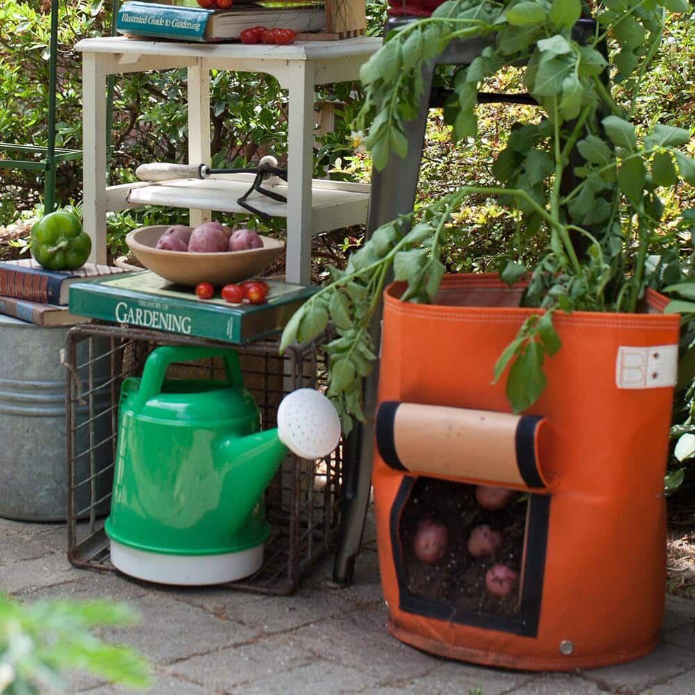 How to Grow Potatoes in a Potato Barrel The Home Depot